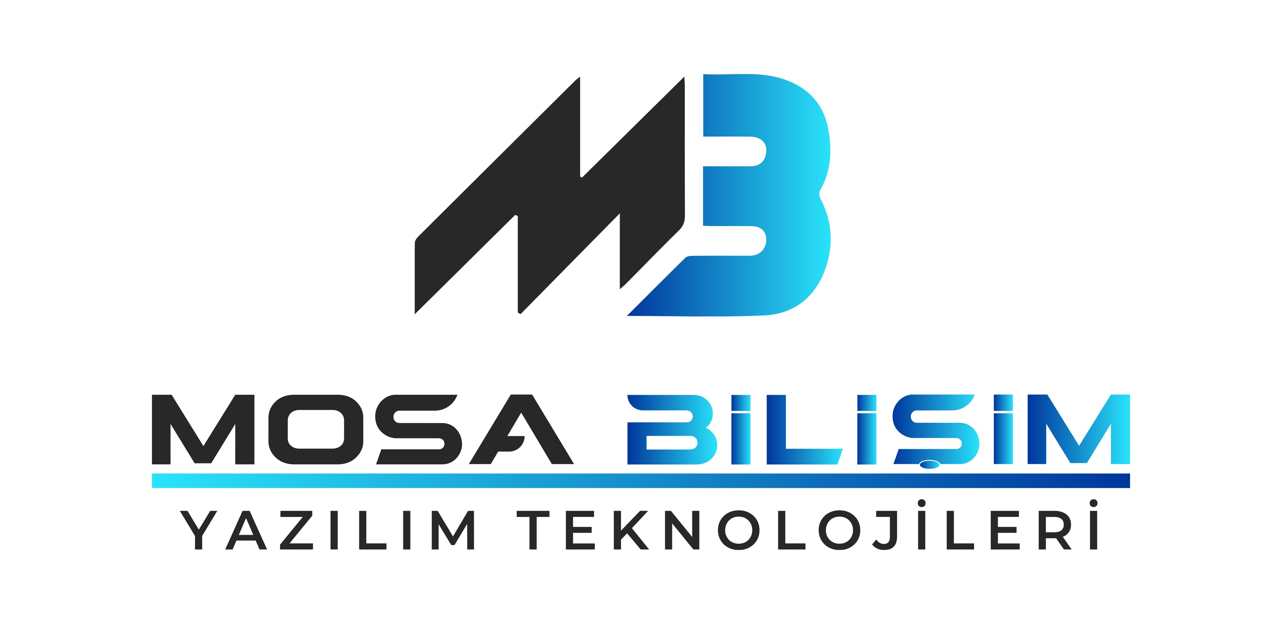 Mosa Bilişim ve Yazılım Teknolojileri -Mikro Yazılım Ankara Satış Ve Destek